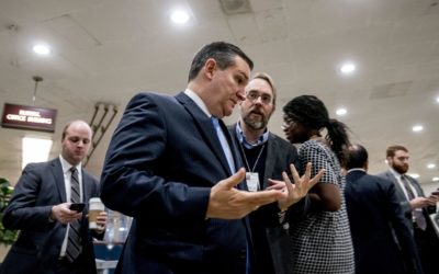 Ted Cruz Faces Criticism after Passing Senate Budget Bill